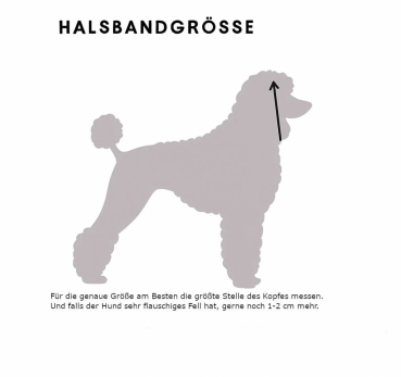 Adventskalender Hund Schmuck 2025 DIY Bastelset Schmuckherstellung als Geschenk für Hunde Halsketten